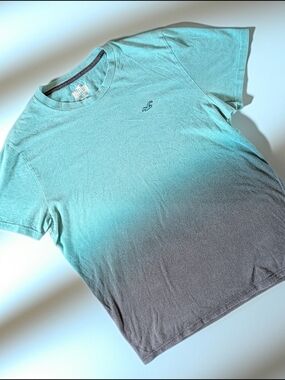 Hollister Must-Have Collection Green Gray Cotton Men's L T-Shirt